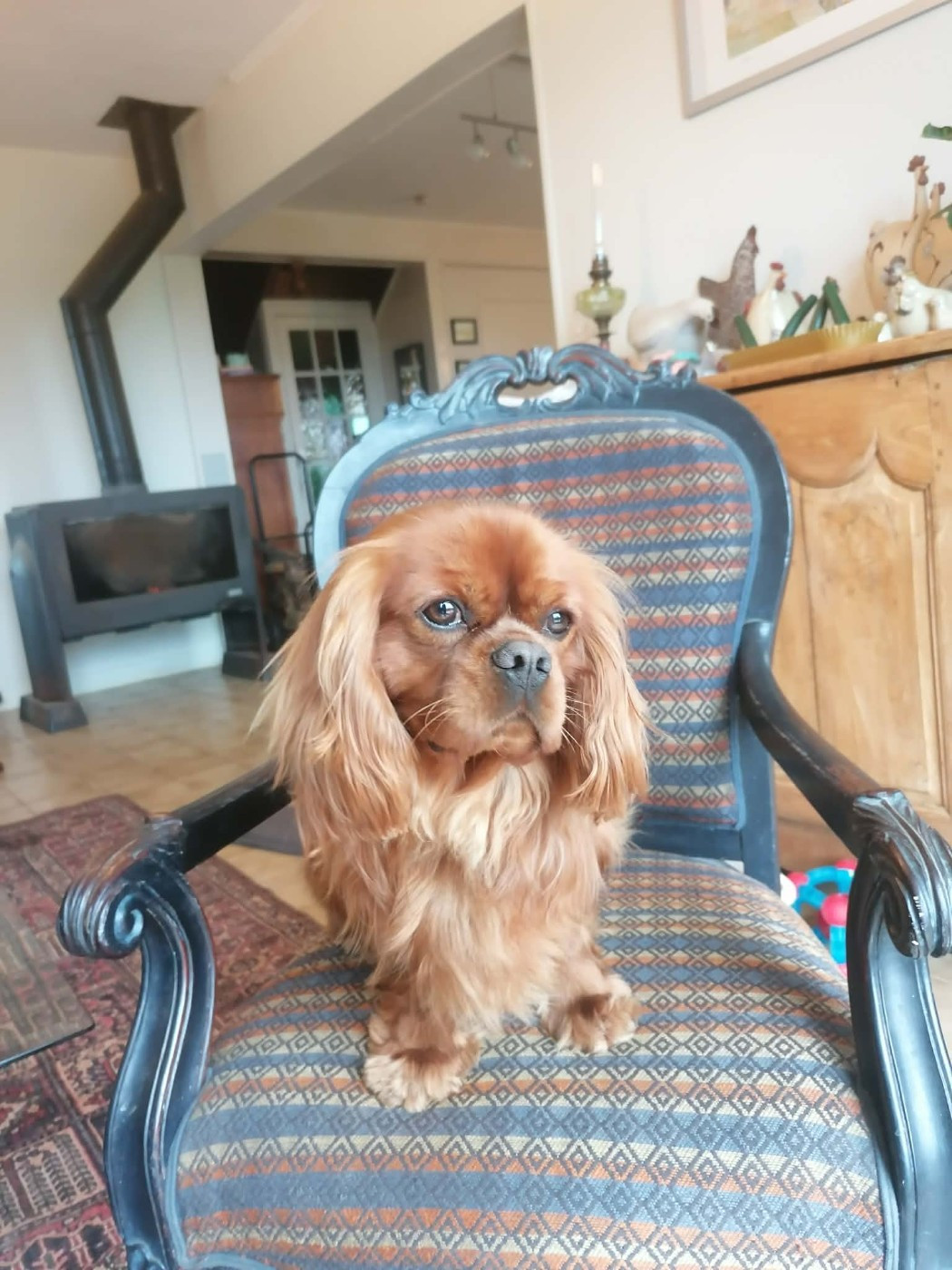 Viana Moog  De La Maison D'herbouville