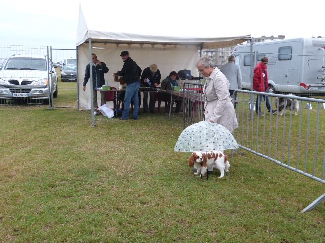 De La Maison D'herbouville - expo de Dieppe