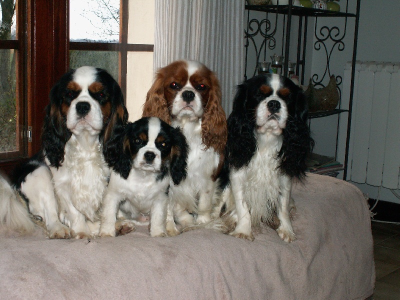 photos 2010