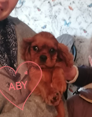 ABY